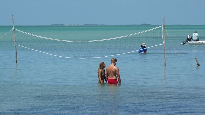 Secret Beach Volleyball Net