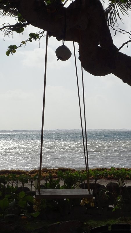 Rope Swing