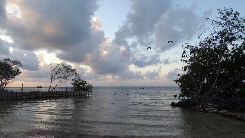 Villa Mandevilla Beach