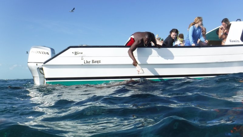 Feeding Nurse Sharks at Shark Ray Alley
