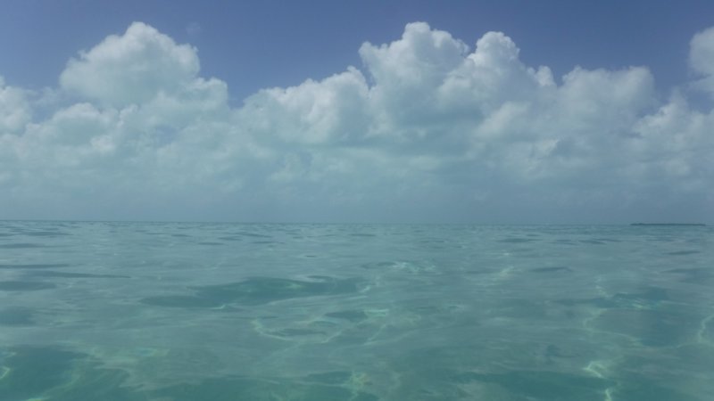 Dreaming of Secret Beach, Ambergris Caye, Belize