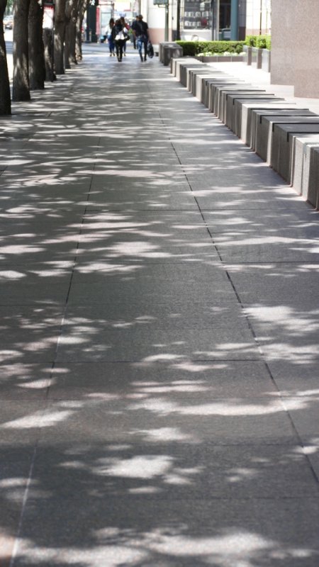 Kearny Street Shadows