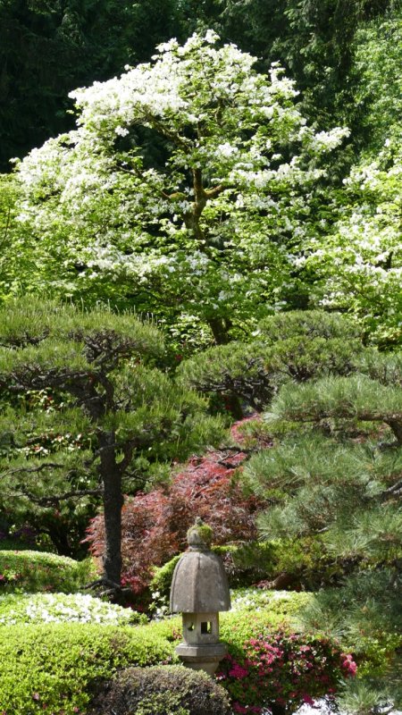 Portland Japanese Garden