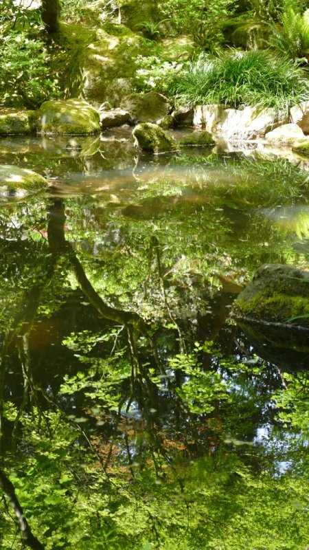 Portland Japanese Garden