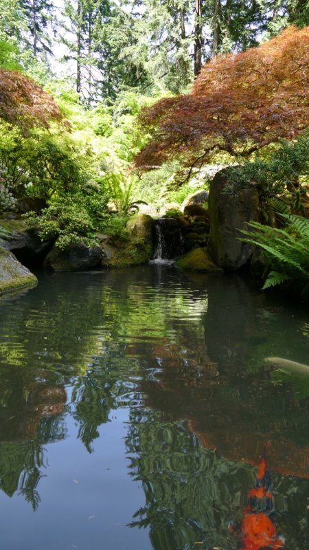 Portland Japanese Garden