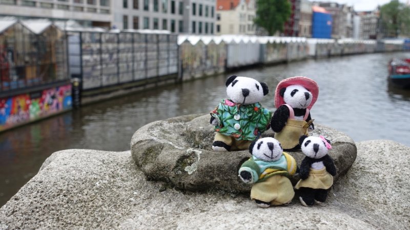 The Pandafords visit Bloemenmarkt, Amsterdam