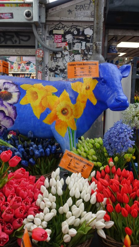 Bloemenmarkt Flowers with Flowery Cow