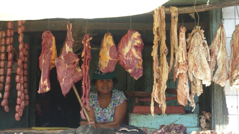 Antananarivo Zebu Vendor