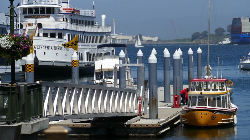 Hornblower / Lil' Taxi II
