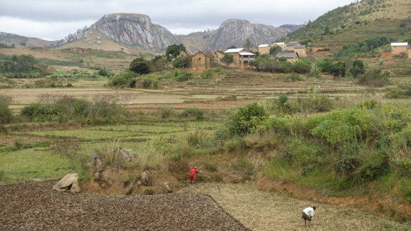 Farms near the town of Ambalavao