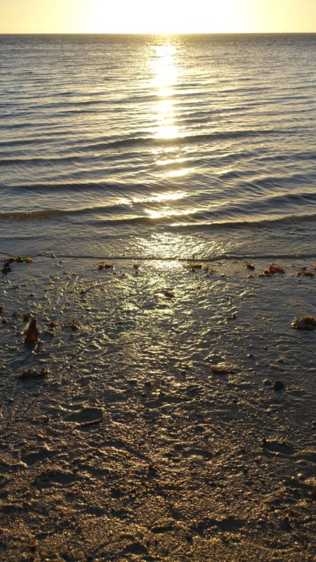 Ifaty Beach Sunset