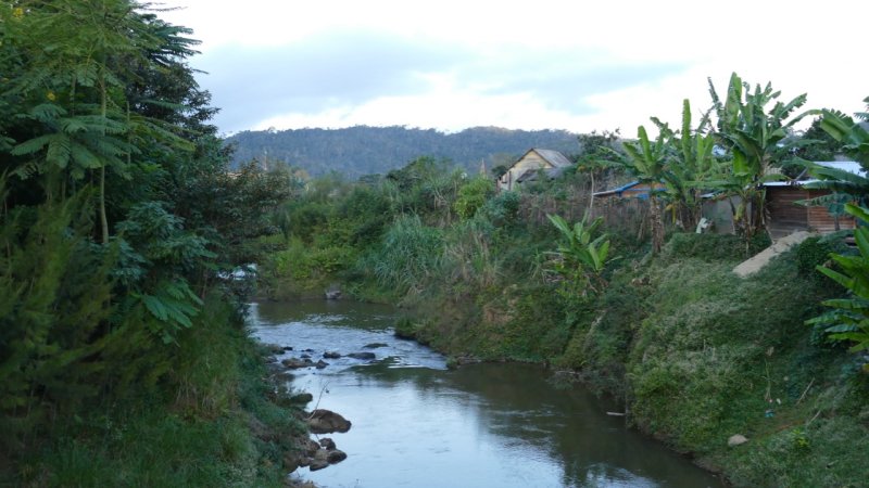 River near Andasibe