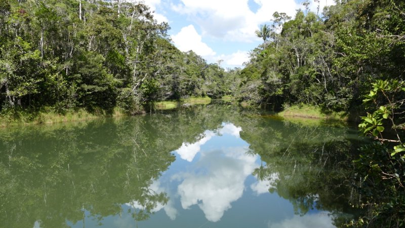 Andasibe-Mantadia National Park