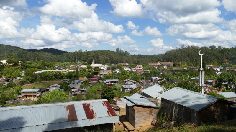 Overlooking the town in Andasibe