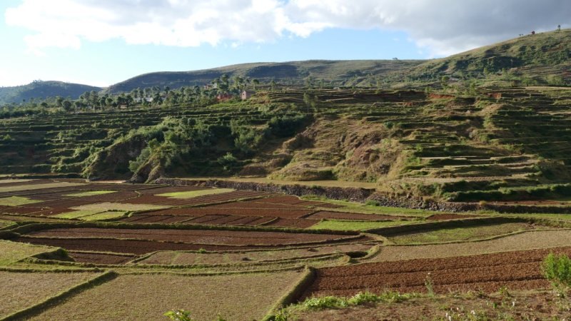 Rice paddies and farm terraces along Route nationale 7
