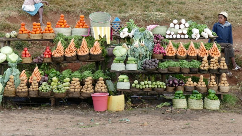 Route nationale 7 Vegetable Stand