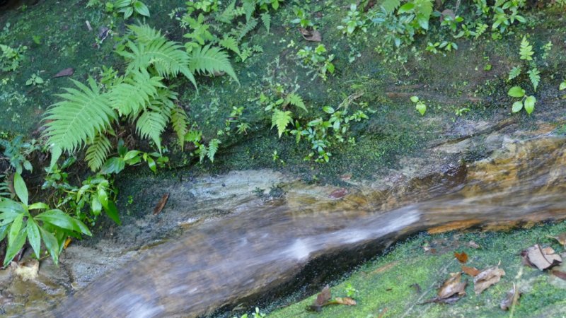 Isalo National Park Stream