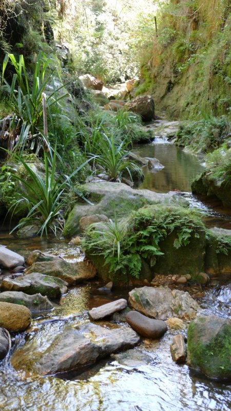 Isalo National Park Canyon Stream