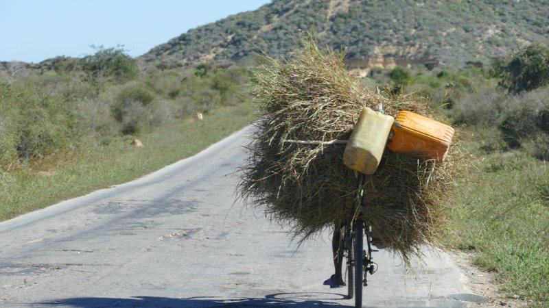 Man with a heavy load on bike along RN7 