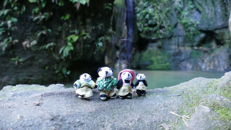 The Pandafords visit Cascade of the Nymphs Pool, Isalo National Park, Madagascar
