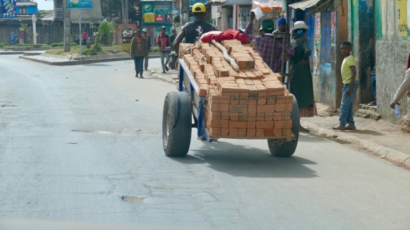Man carrying bricks with a Pedicab in Tana
