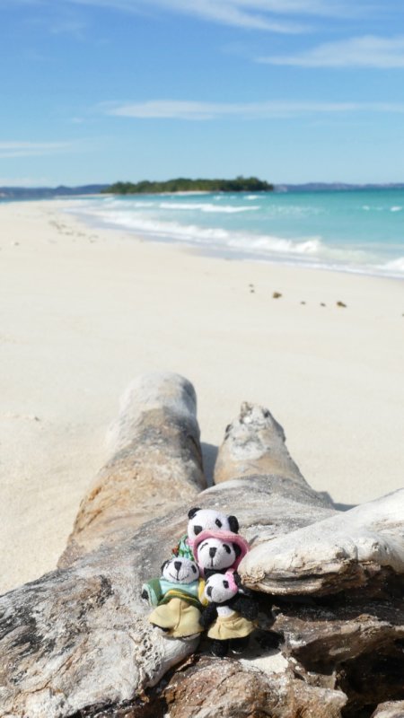 The Pandafords visit Nosy Iranja beach, Madagascar