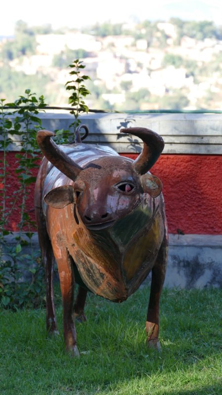 Metal cow sculpture Photography Museum in Antananarivo