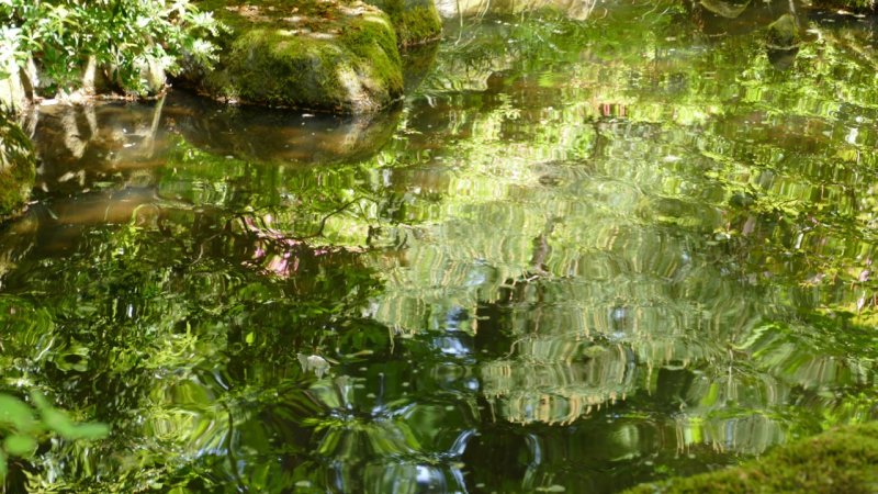 Portland Japanese Garden pool reflection