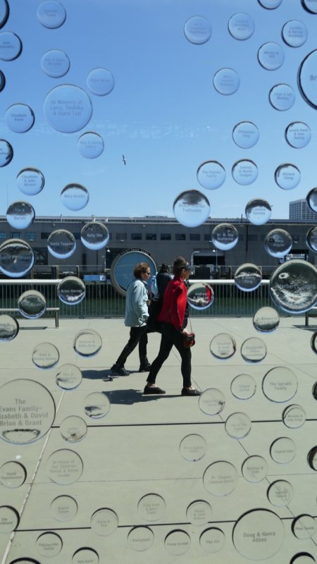 Exploratorium donor bubbles