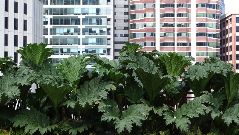 Salesforce Park