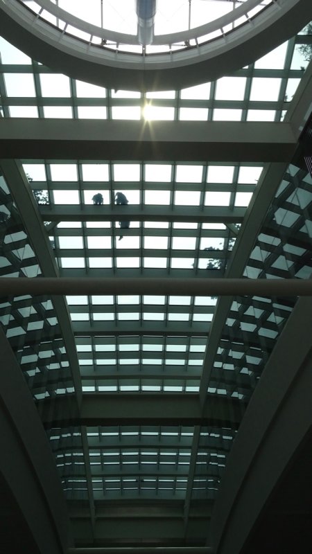 Transbay Transit Center