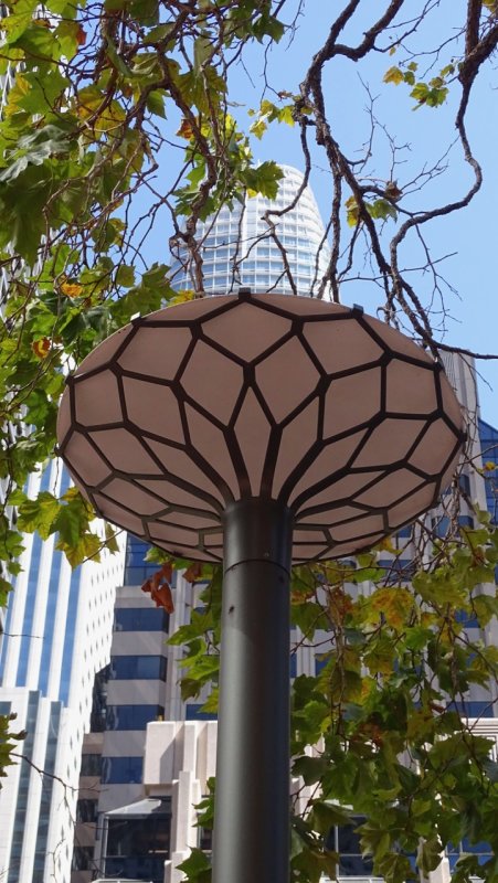 One Bush Plaza Street Light