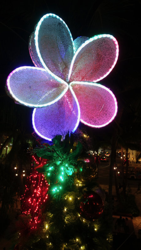 Royal Hawaiian Center Christmas Tree Topper