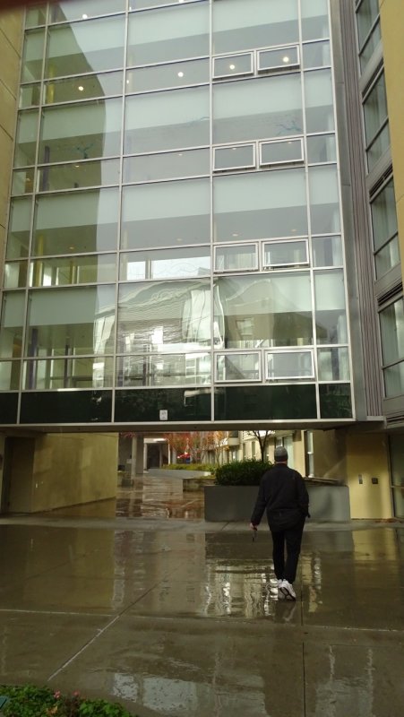 San Francisco State University Dorms