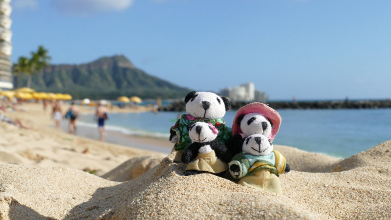 The Pandafords on Fort DeRussy Beach