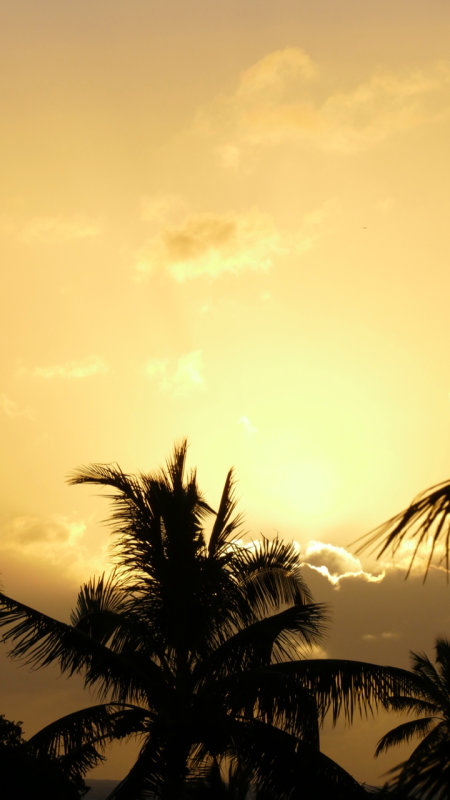 Kuhio Beach Sunset