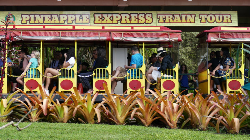 Dole Pineapple Plantation Express