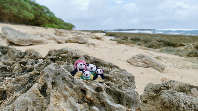The Pandafords visit Monk Seal Beach, North Shore, Oahu