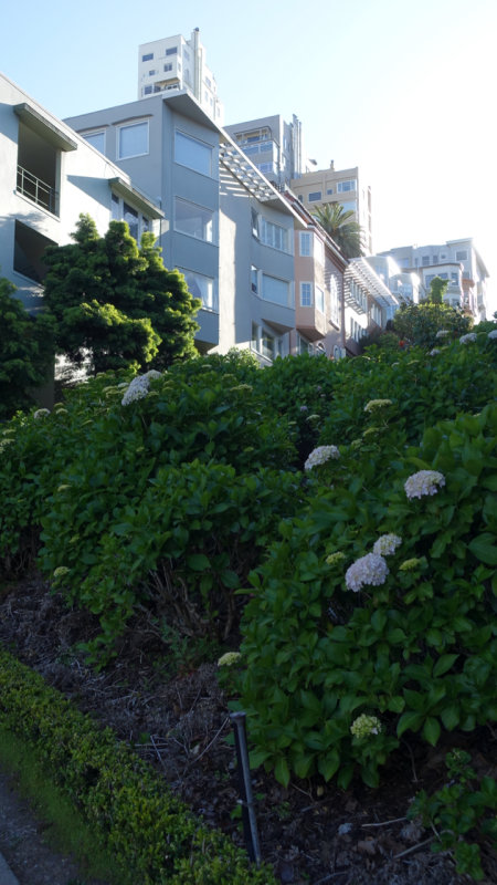The Bottom of Lombard Street