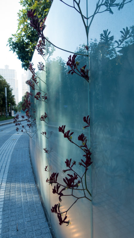 Plants Growing through glass fence a Salesforce Park