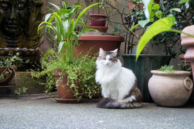 Muni in her garden