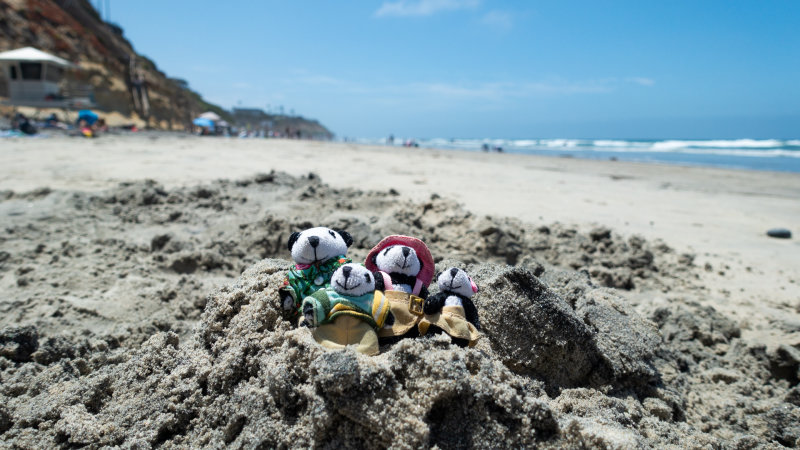 The Pandafords visit Moonlight Beach