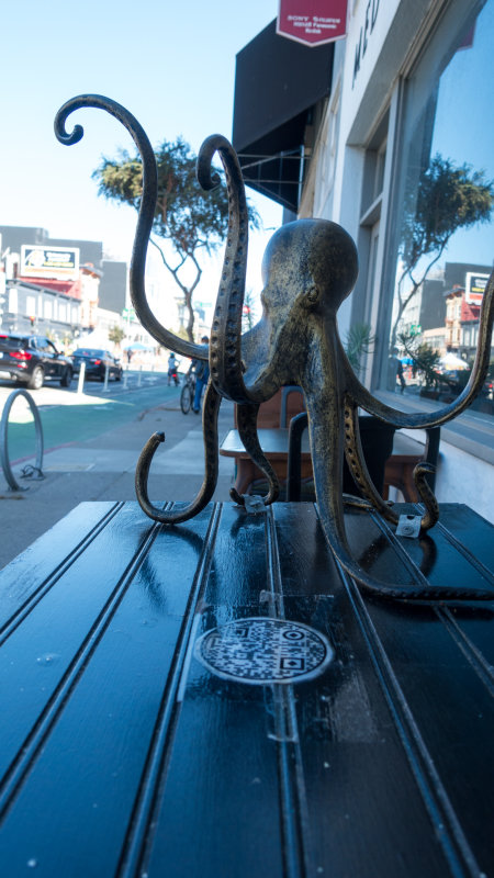 Folsom Street Driftwood Octopus
