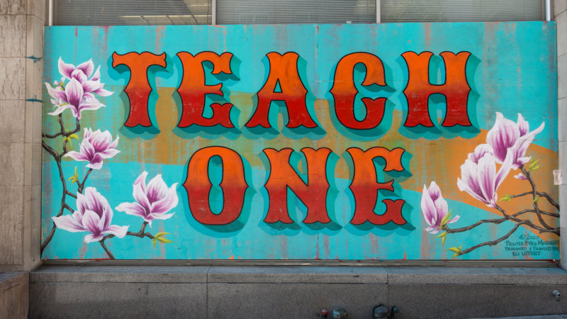 TEACH ONE