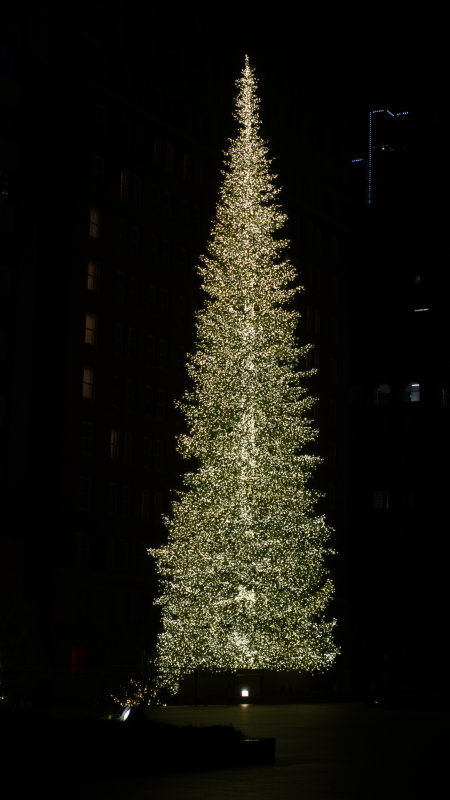 555 California Street Christmas Tree