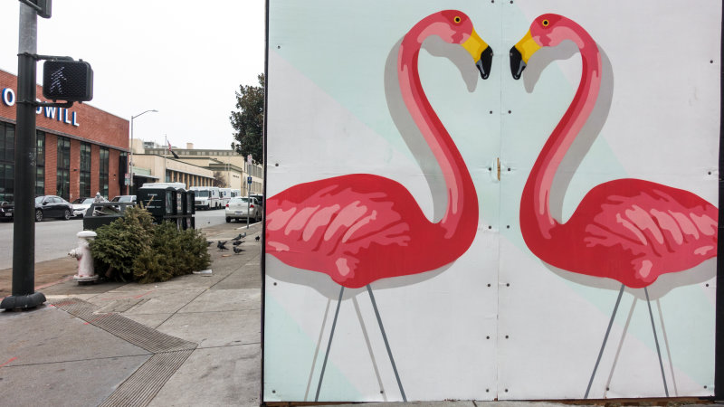 Bay Street Flamingos