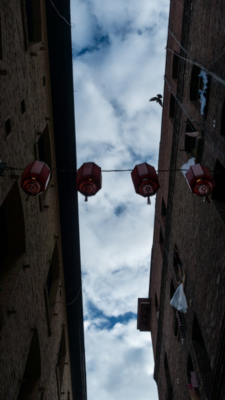 Looking up on Ross Alley