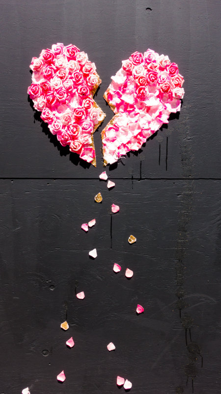 Broken Flower Heart
