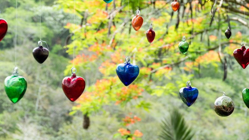 Vallarta Botanical Gardens Hearts