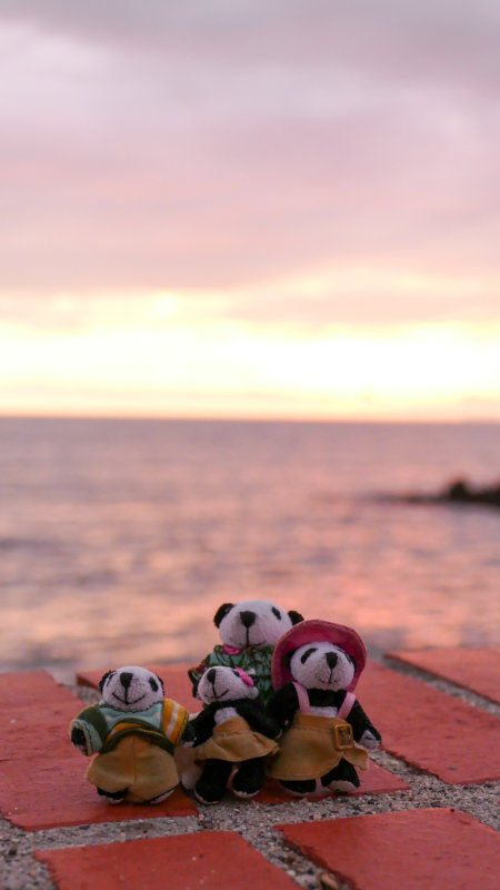 The Pandafords Enjoying a Puerto Vallarta Sunset